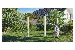 LoggyLand High bar systems LoggyLand High bar systems